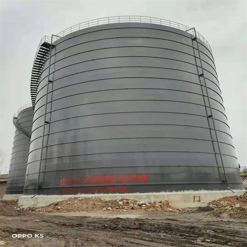 临湘3万吨大型钢板库